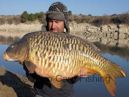 Adunate! - ebro-crap-fishing99.jpg